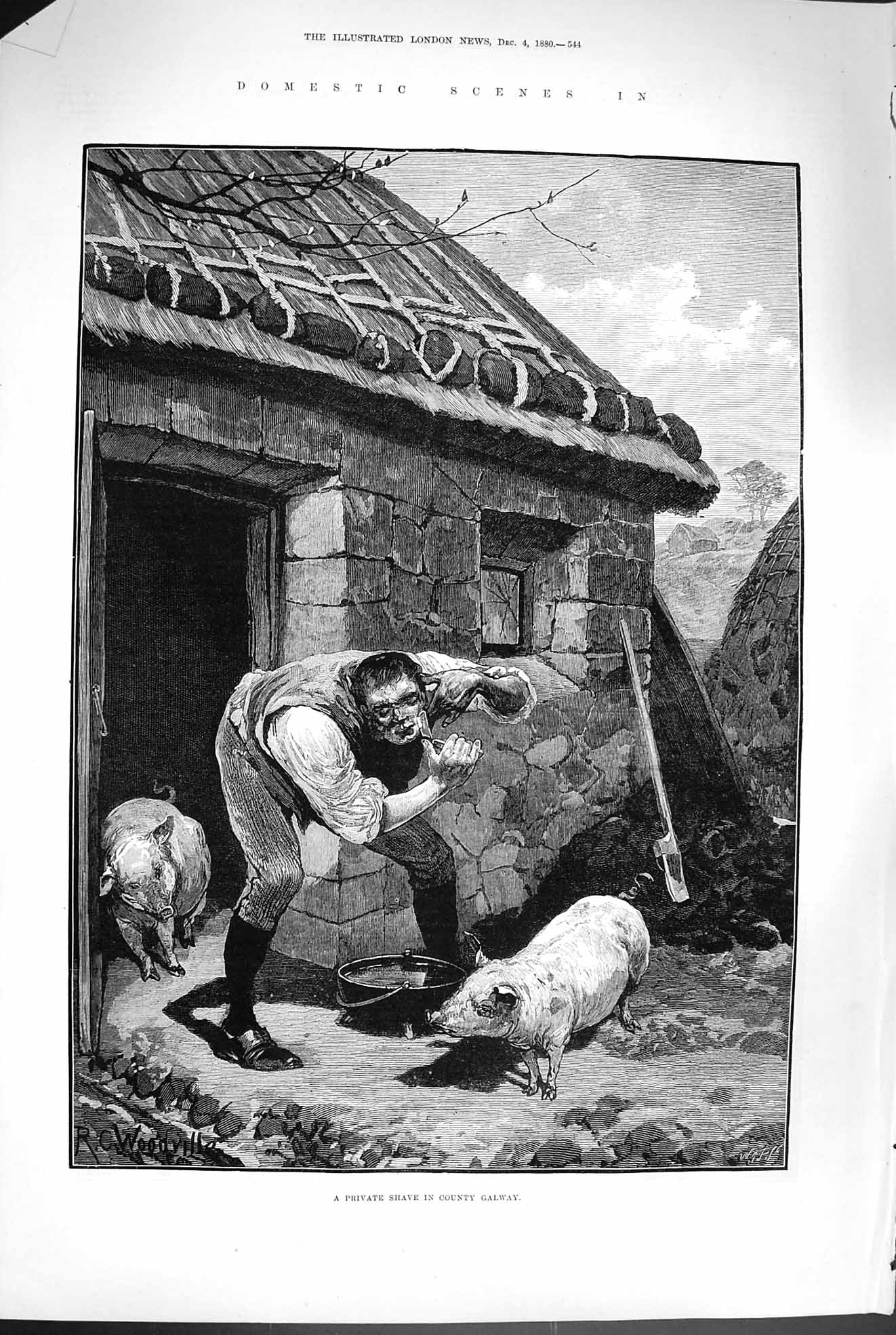 Old Antique Print 1880 Man Private Shave County Galway Ireland Pig Farm 19th