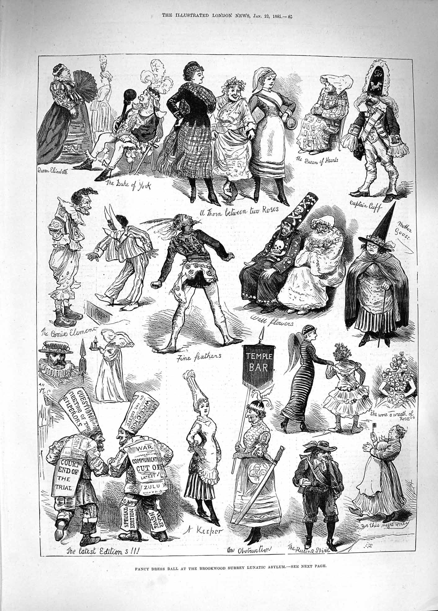 Original Old Antique Print 1881 Fancy Dress Ball Brookwood Surrey Lunatic 19th