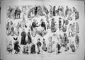 Original Old Antique Print 1881 Fancy Dress Ball Liverpool Costumes Blue Beard