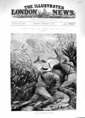 Original Old Antique Print 1881 Transvaal War Boers Marksmen Shooting Animals