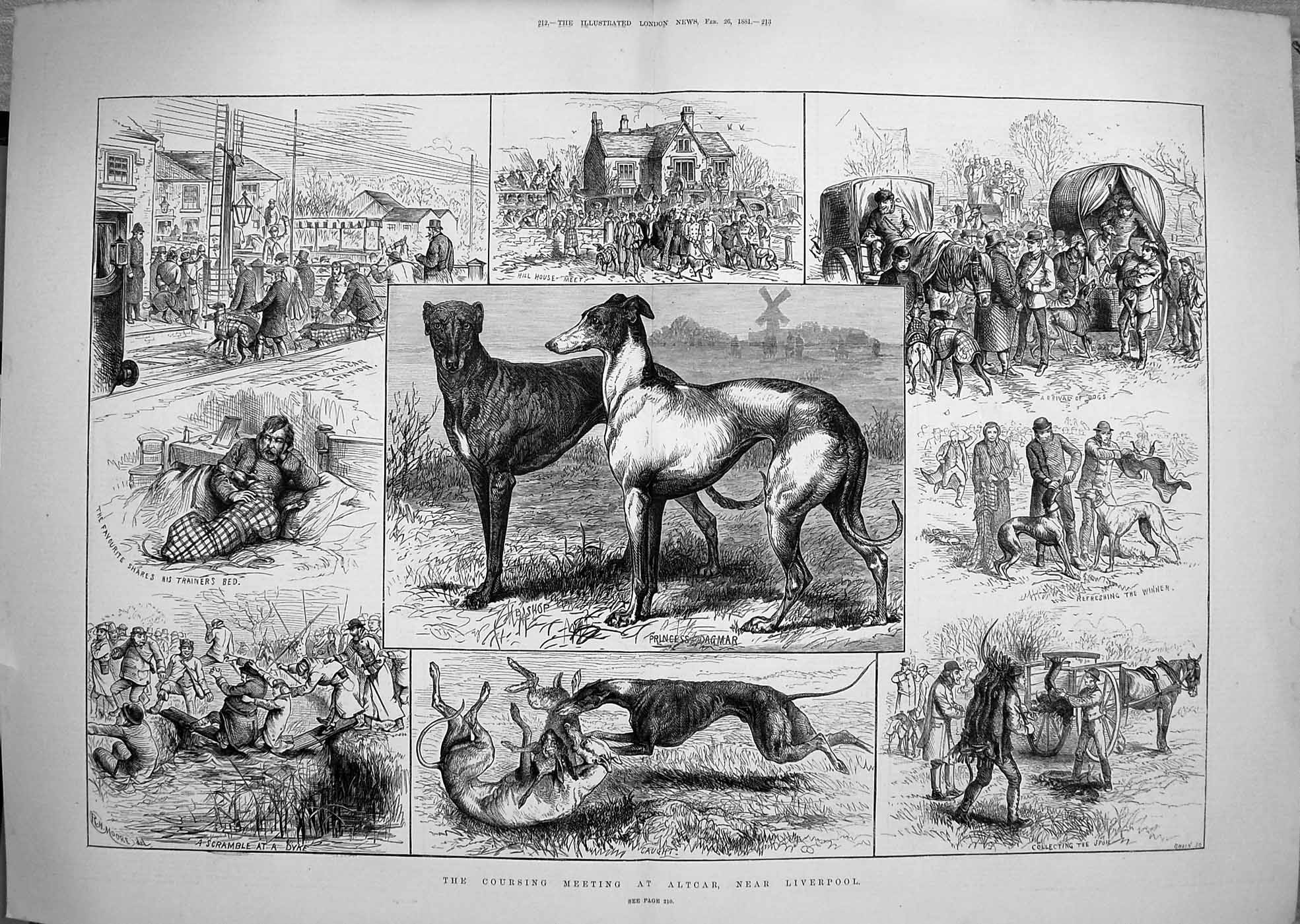 Antique Old Print 1881 Hare Coursing Meeting Altcar Liverpool Hounds Dogs 19th