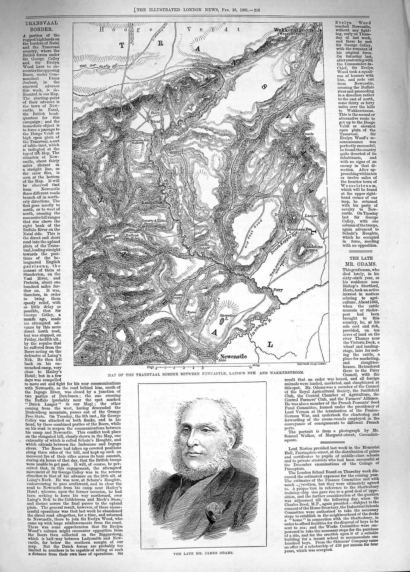 Original Old Antique Print 1881 Map Transvaal Laing'S Neck Wakkerstroom Odams