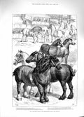 Original Old Antique Print 1881 Cart Horse Show Agricultural Hall Fil Victorian
