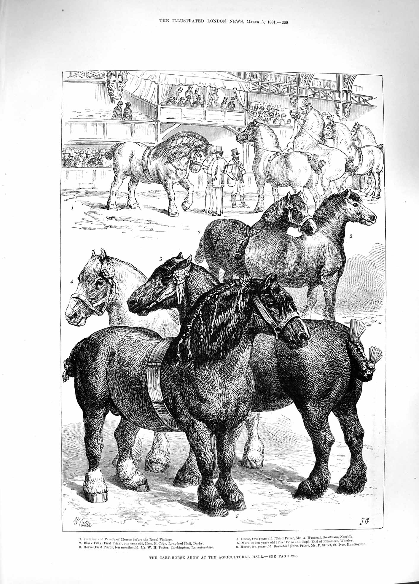Original Old Antique Print 1881 Cart Horse Show Agricultural Hall Fil Victorian