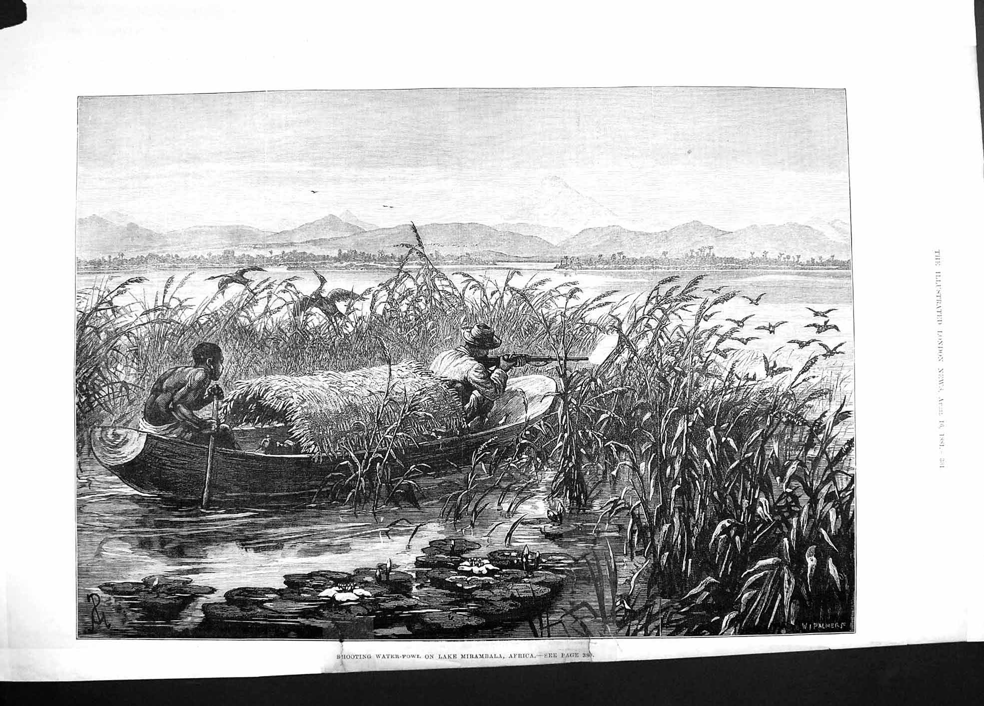 Old Antique Print Damaged 1881 Shooting Water-Fowl Lake Mirambala Africa 19th