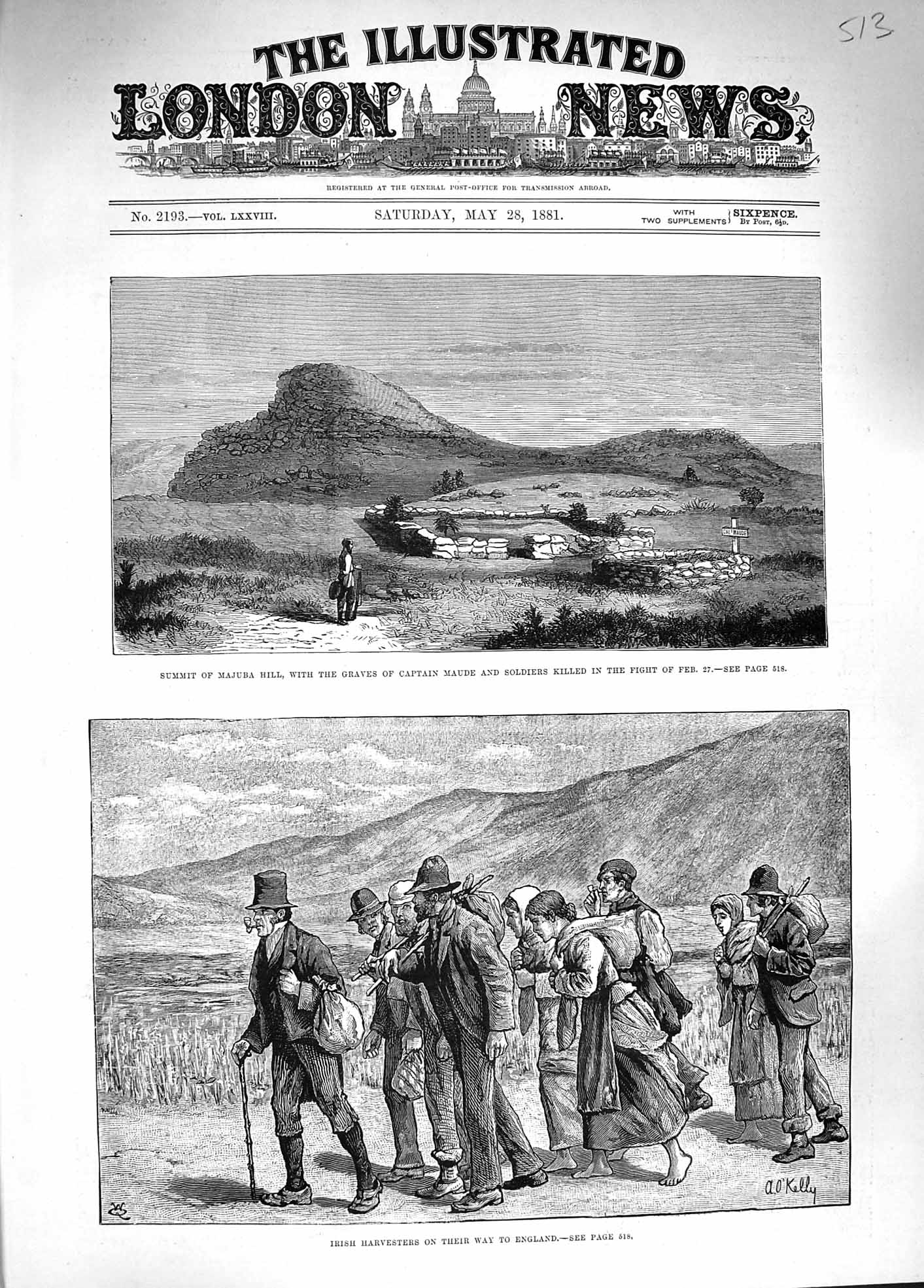 Old Antique Print 1881 Majuba Hill Graves Maude Irish Harvesters England 19th