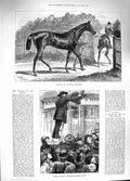 Old Antique Print 1881 Horse Winner Derby Iroquois Bees Wellington Strand 19th