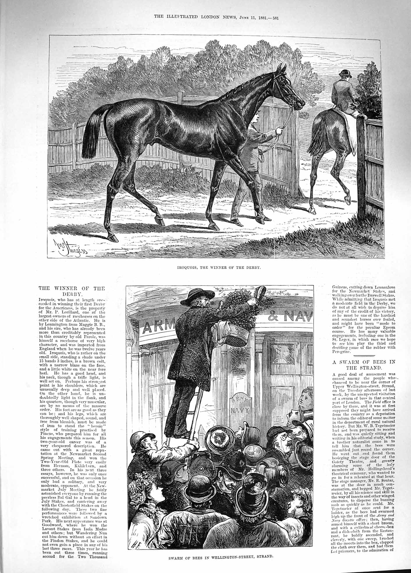 Old Antique Print 1881 Horse Winner Derby Iroquois Bees Wellington Strand 19th