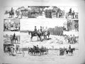 Original Old Antique Print 1881 Review Volunteers Windsor Park Siers Horses 0