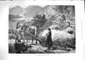 Old Antique Print 1881 Hay Harvest Norway Horse Cart Children Agriculture 19th