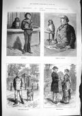 Original Old Antique Print 1881 Zoological Gardens Sea Parrot Bird Sheep Dog