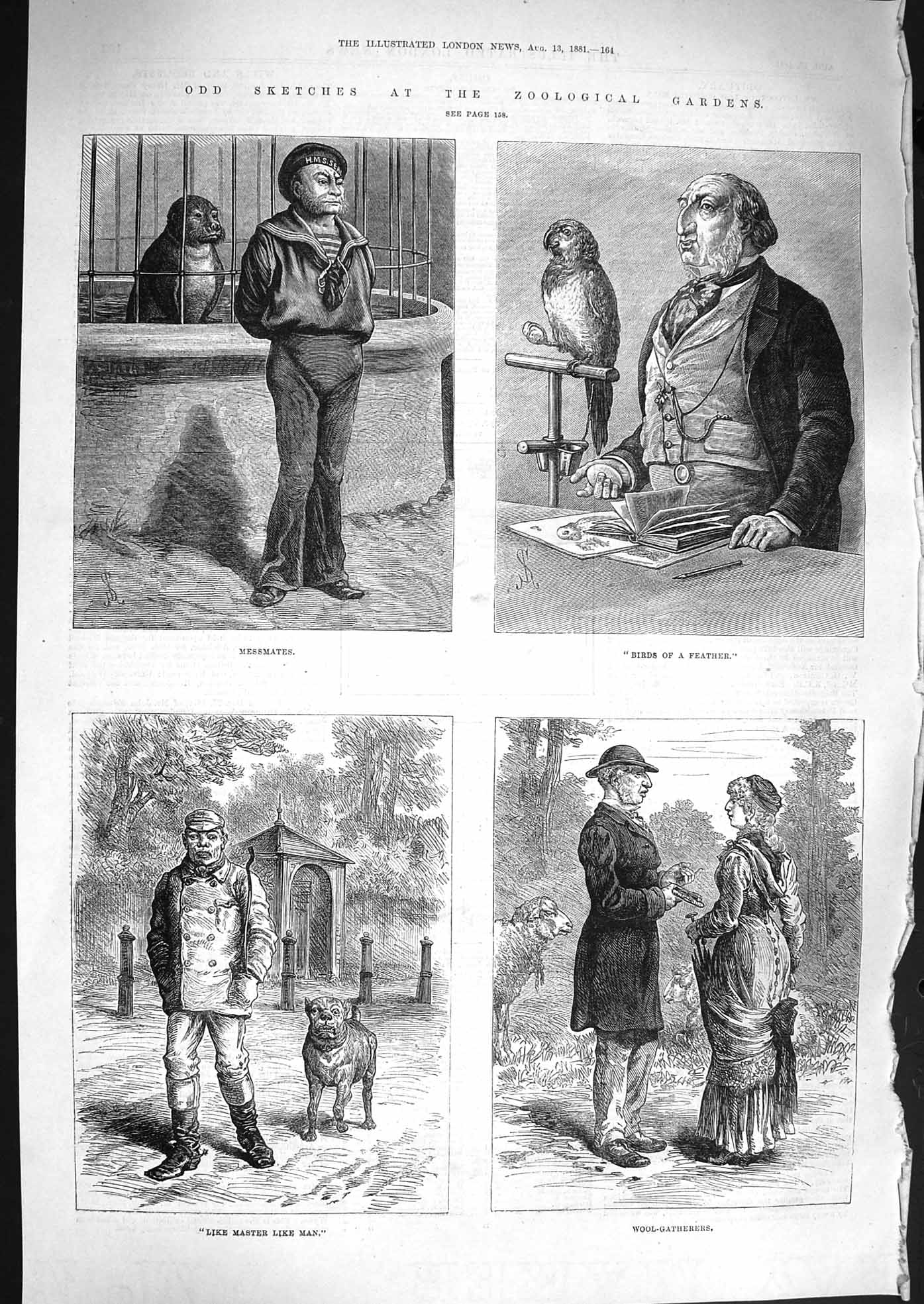 Original Old Antique Print 1881 Zoological Gardens Sea Parrot Bird Sheep Dog