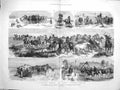 Original Old Antique Print 1881 Wild Horses Puszta Hungarian Heath Country