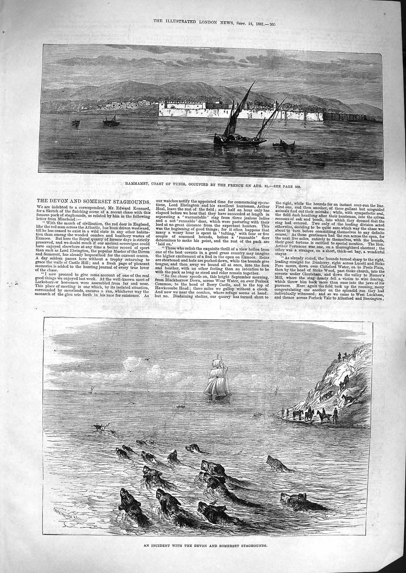 Original Old Antique Print 1881 Hammamet Tunis Devon Somerset Staghounds Sea