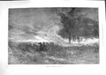 Original Old Antique Print 1881 Forest Fire Trees America Horses Fine Art 19th