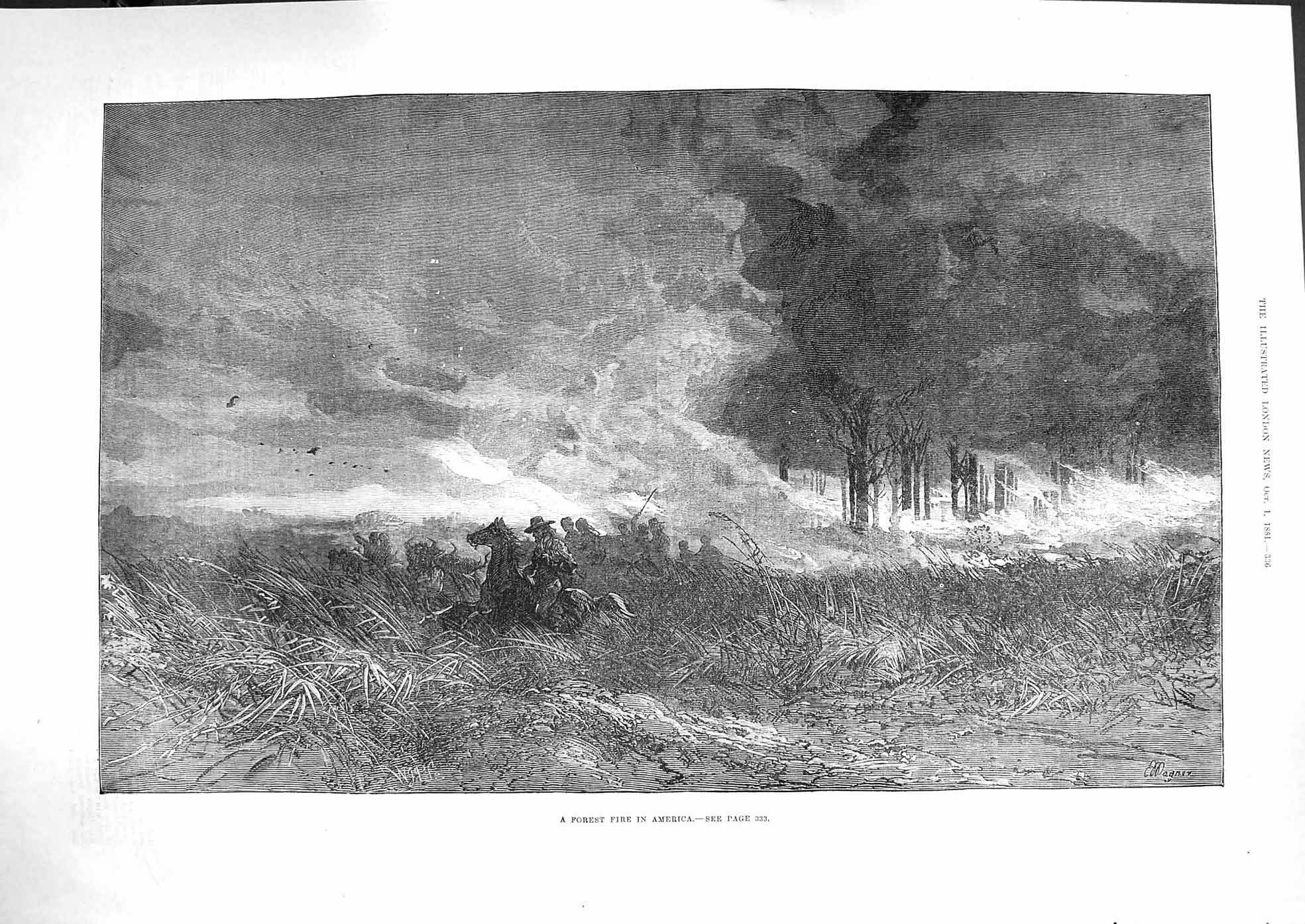 Original Old Antique Print 1881 Forest Fire Trees America Horses Fine Art 19th
