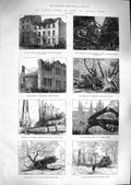 Old Antique Print 1881 Storm Wind Eton Greenwich London Shoreditch Tree 19th