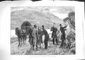Original Old Antique Print 1881 Ireland Posting Government Proclamation Co 19th