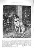 Old Antique Print 1881 Pleasures Hope Pet Dog Cooking Pot Fire Harrison 19th