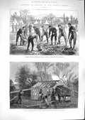 Original Old Antique Print 1881 Ireland Potatoes Kilkenny Land League Hut 19th