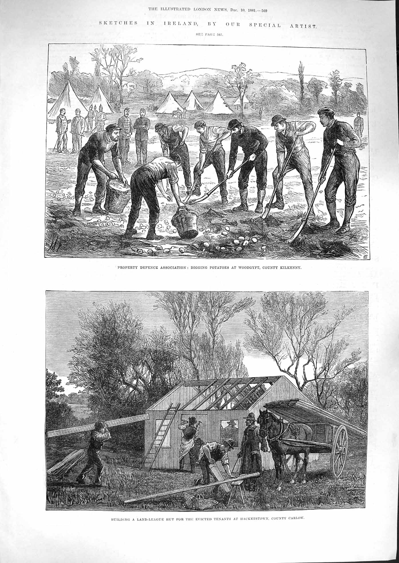 Original Old Antique Print 1881 Ireland Potatoes Kilkenny Land League Hut 19th