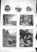 Old Antique Print 1881 Billy Goat Troll Fairy Tales Autumn Leaves Forest 19th