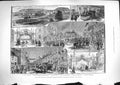 Original Old Antique Print 1881 Prince Wales Longleat Warminster Market Railway