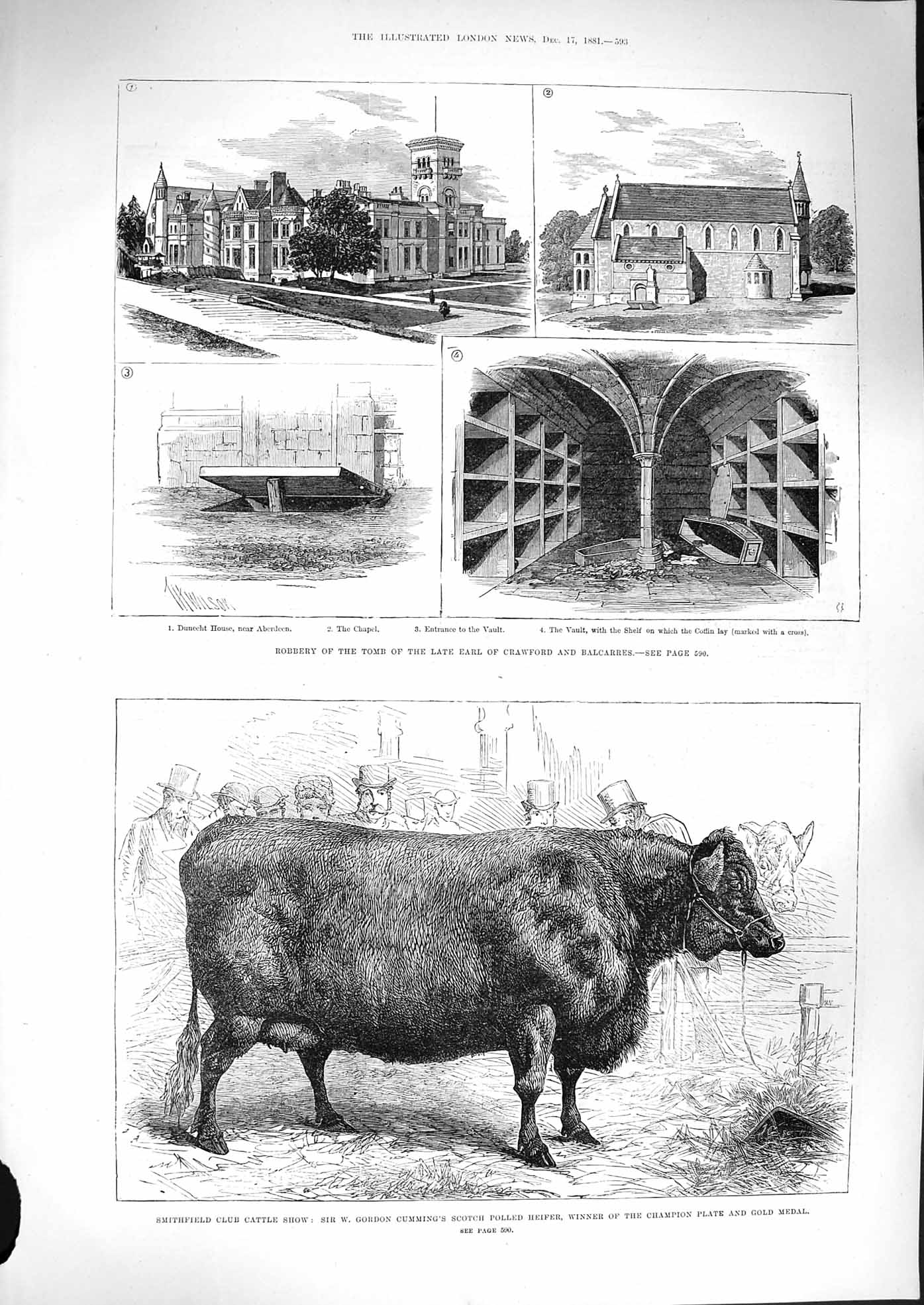 Original Old Antique Print 1881 Smithfield Cattle Cumming Heifer Tomb Crawford