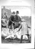 Original Old Antique Print 1881 Goose Birds Club Committee Men 19th