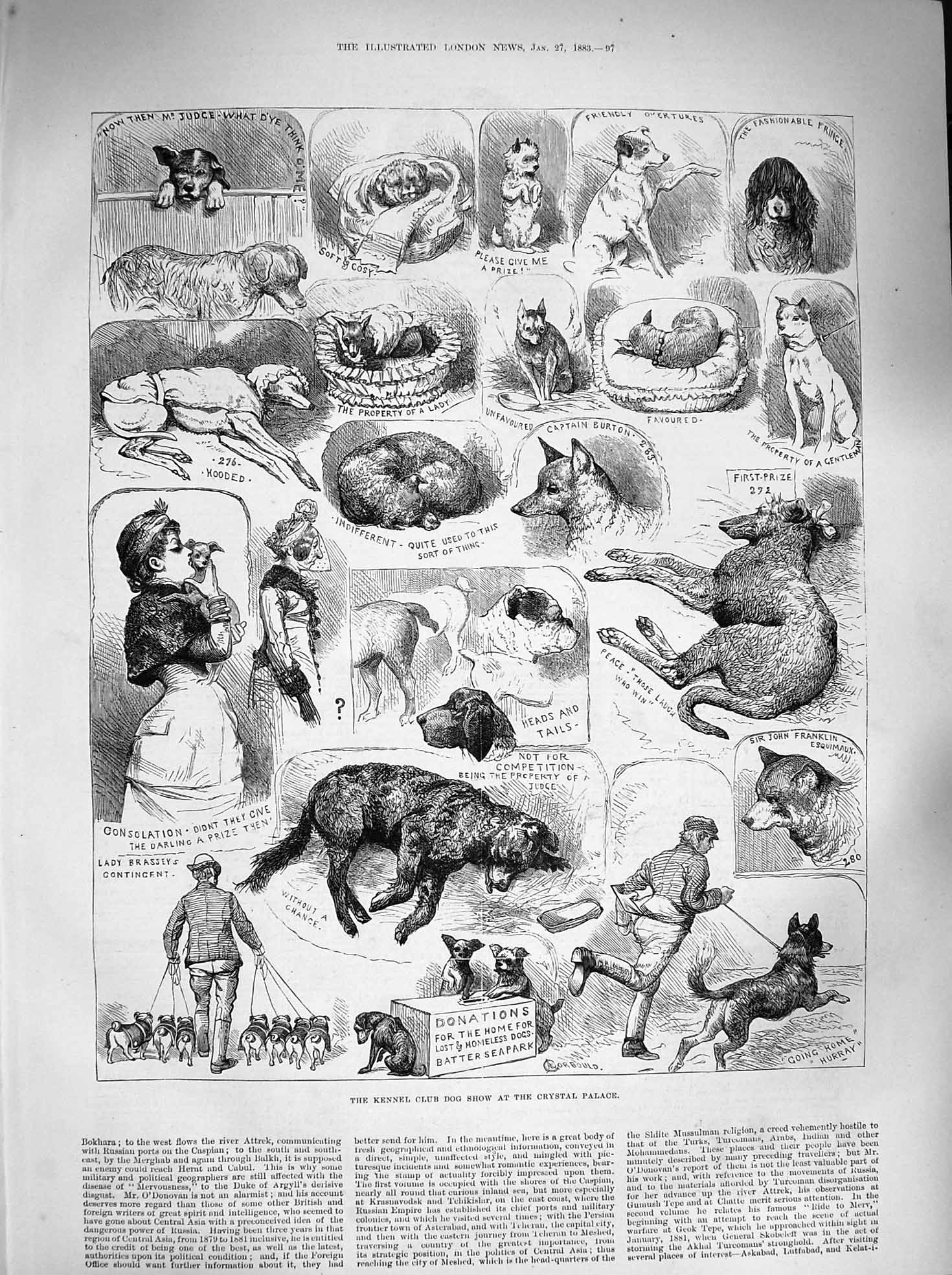 Old Antique Print 1883 Kennel Club Dog Show Crystal Palace Lady Brassey 19th