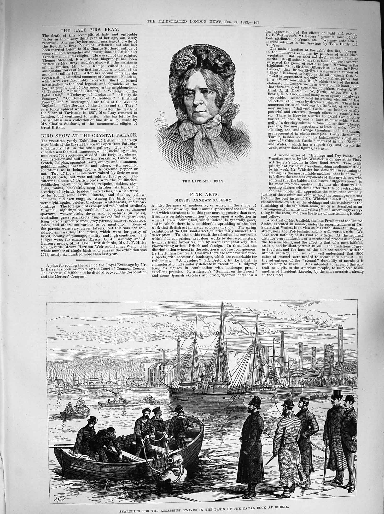Original Old Antique Print 1883 Bray Writer Diver Basin Canal Dock Dublin Ships