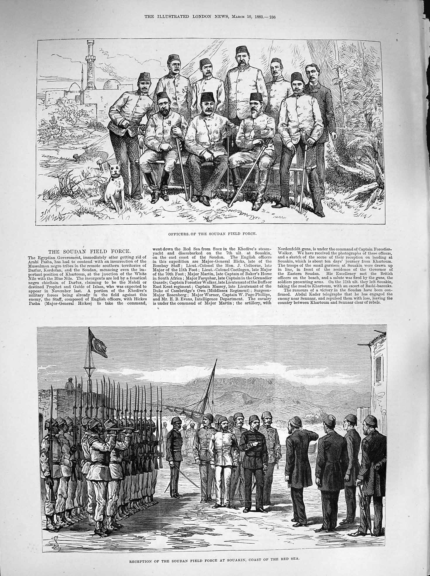 Antique Old Print *3360 1883 Officers Soudan Field Force Souakin Red Sea War