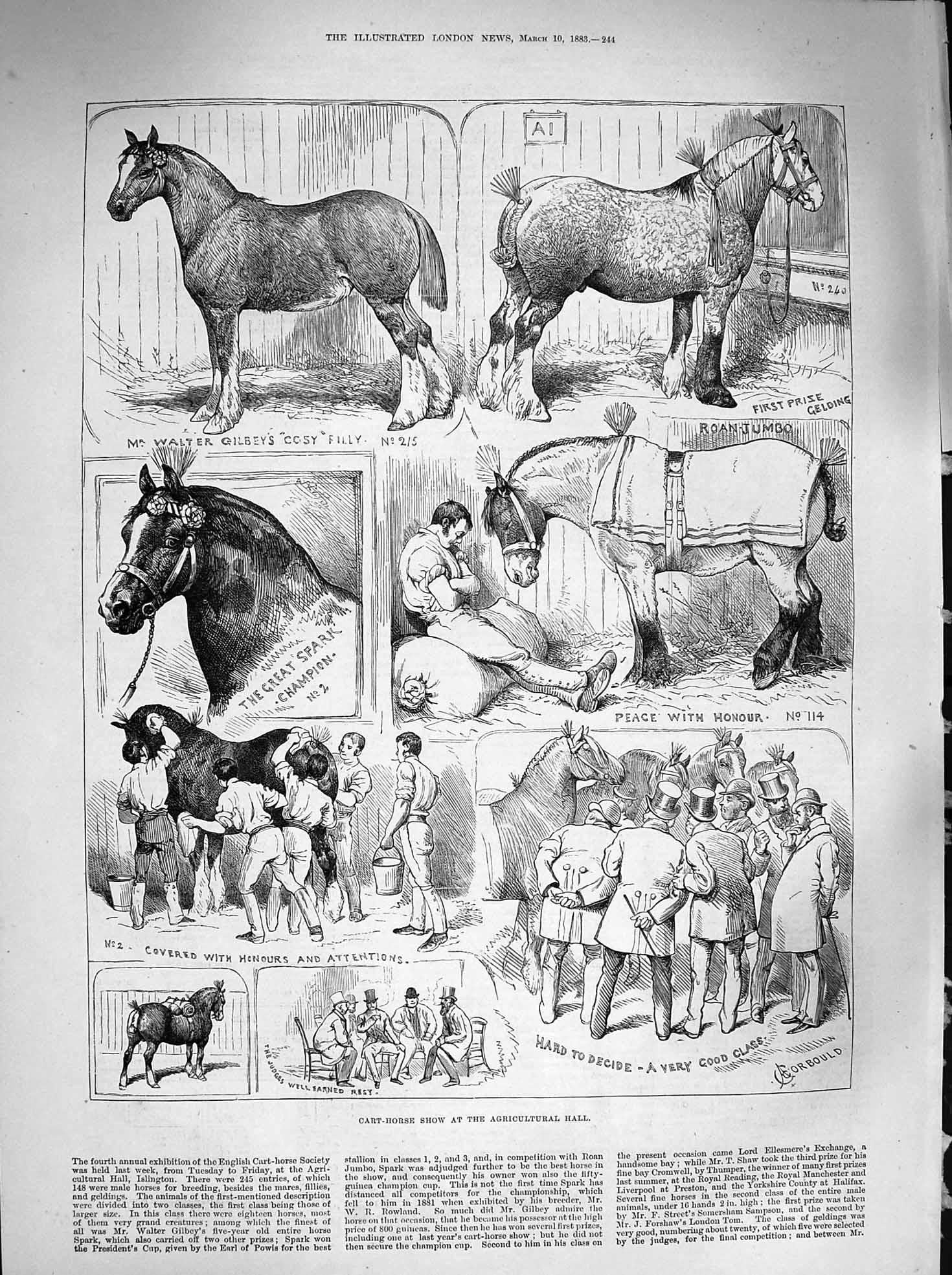 Old Antique Print 1883 Cart Horse Show Agricultural Hall Gilbey Gelding 19th