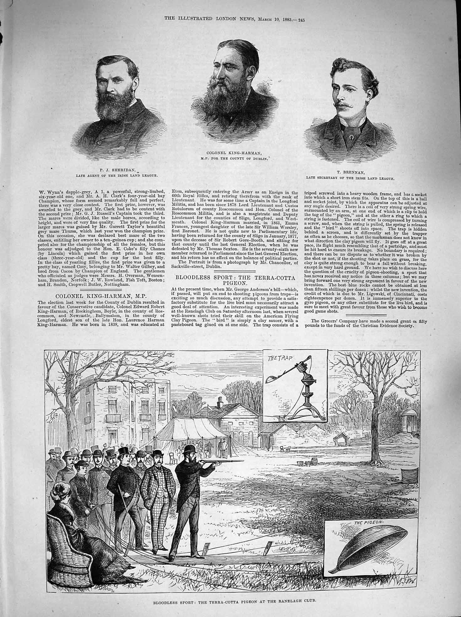 Original Old Antique Print 1883 Sheridan King-Harman Brennan Terra-Cotta Pigeon