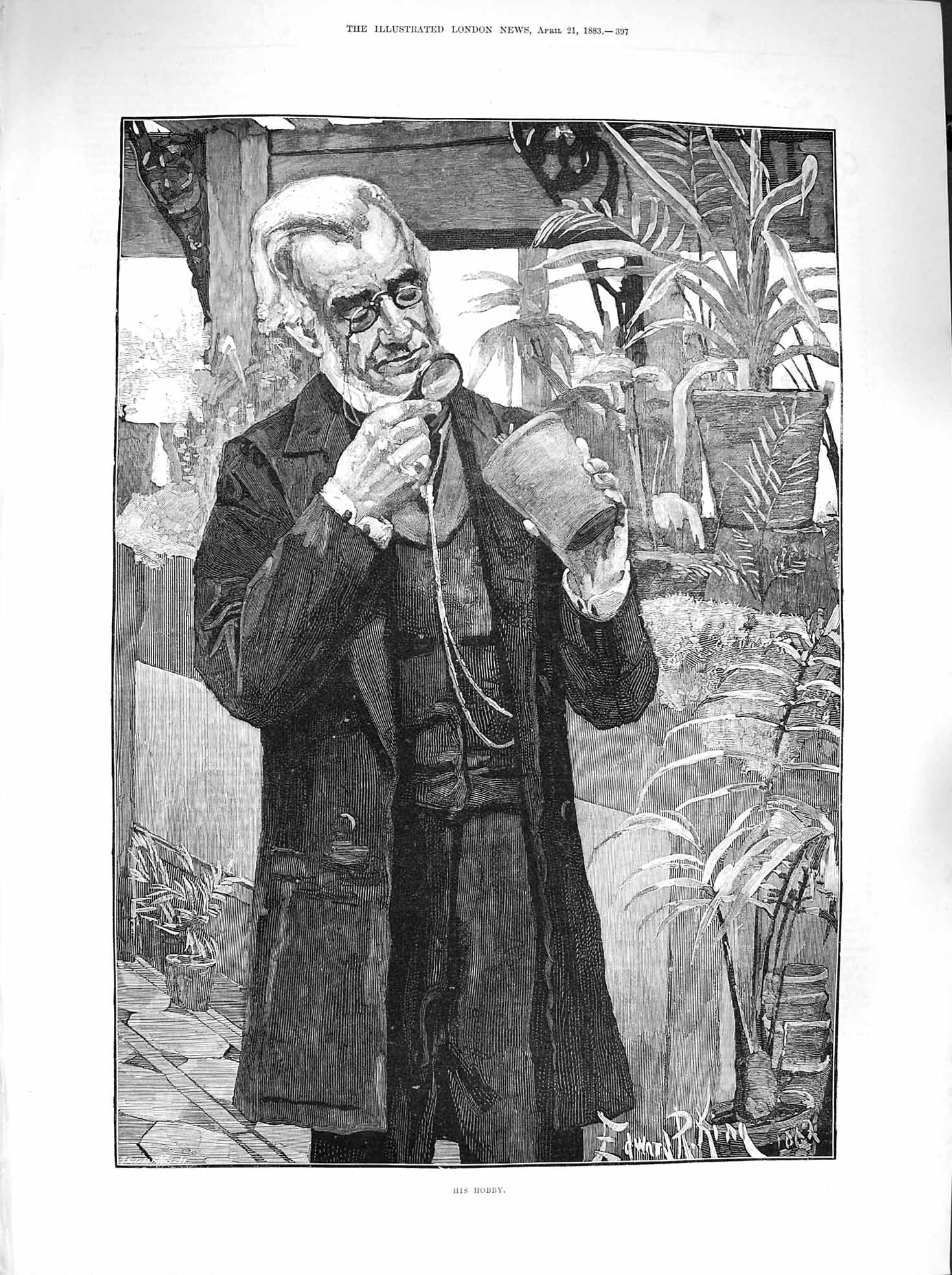 Original Old Antique Print 1883 Man Hobby Plants Greenhouse Fin Eart Victorian