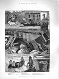 Original Old Antique Print 1883 Fish Pilchard Cornwall Oyster Dredging Whi 19th