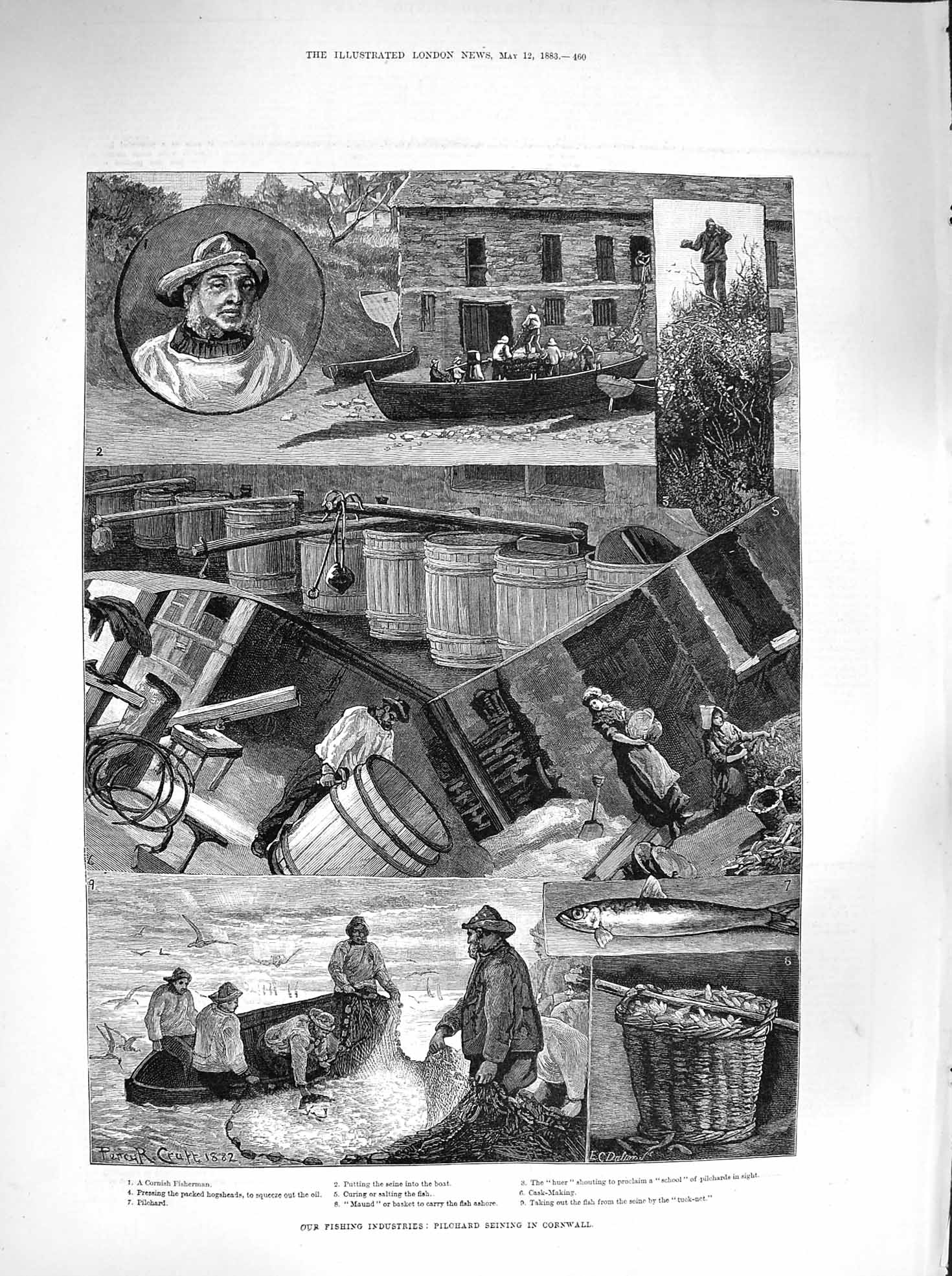 Original Old Antique Print 1883 Fish Pilchard Cornwall Oyster Dredging Whi 19th