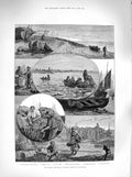 Original Old Antique Print 1883 Fishing Mackerel Eastbourne Pilchards Cornwall