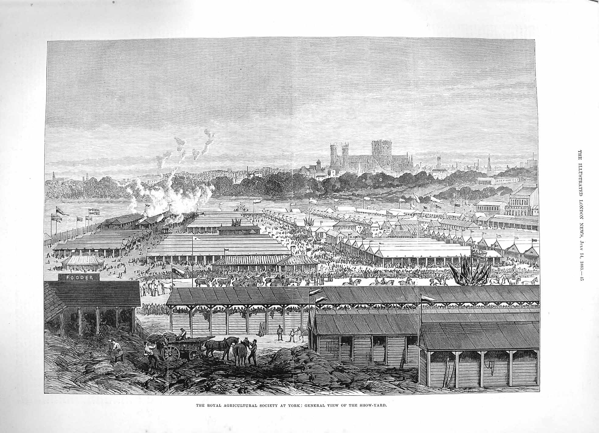 Antique Old Print *3355 1883 Royal Agricultural Society York View Show Yard