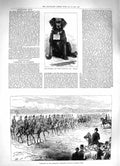 Old Antique Print 1883 Ryde Collecting Dog Brake Middlesex Yeomanry Park 19th