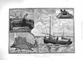 Old Antique Print 1883 Fishing Industry Whitebait Fish Boat Net Fine Art 19th
