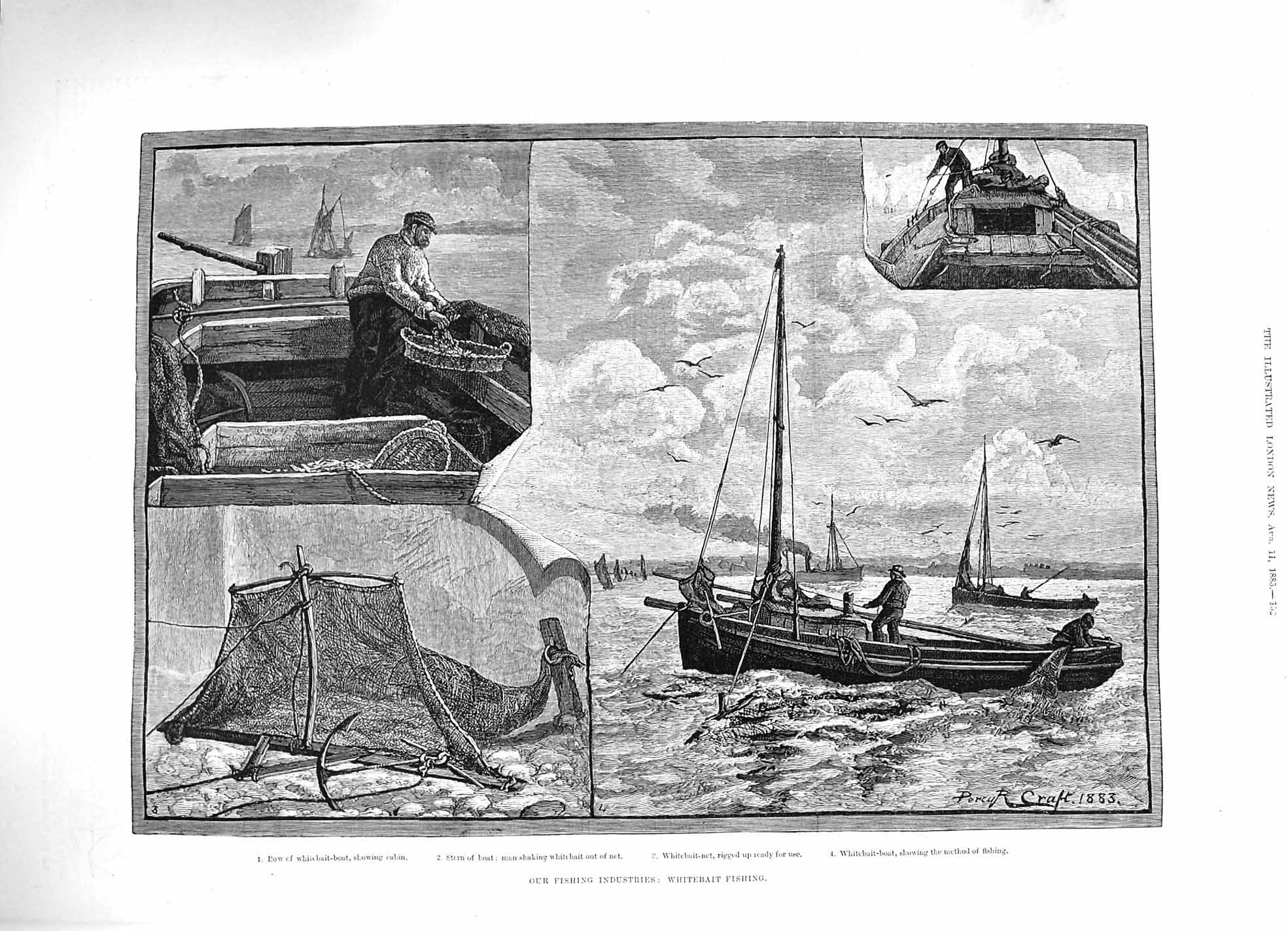Old Antique Print 1883 Fishing Industry Whitebait Fish Boat Net Fine Art 19th
