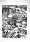 Original Old Antique Print 1883 Fly Fishing River Teign Devon England Fi 19th