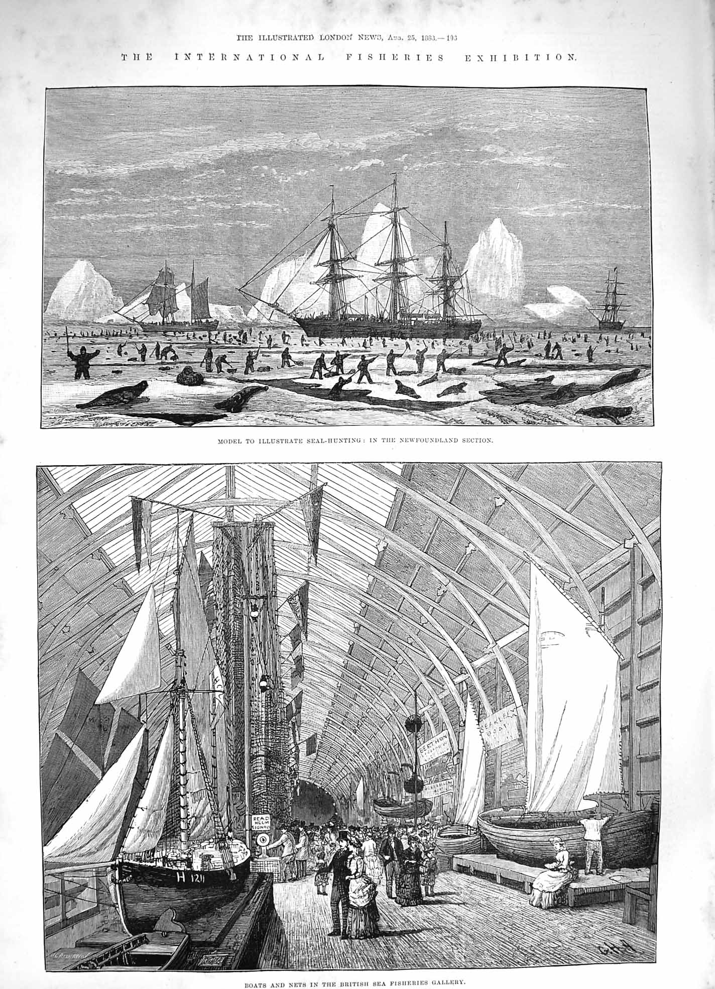 Old Antique Print 1883 Fisheries Exhibition Seal Hunting Ship Boats Nets 19th