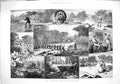 Old Antique Print 1883 Sport Devon Trout Fishing Otter Hunting Hound Dog 19th