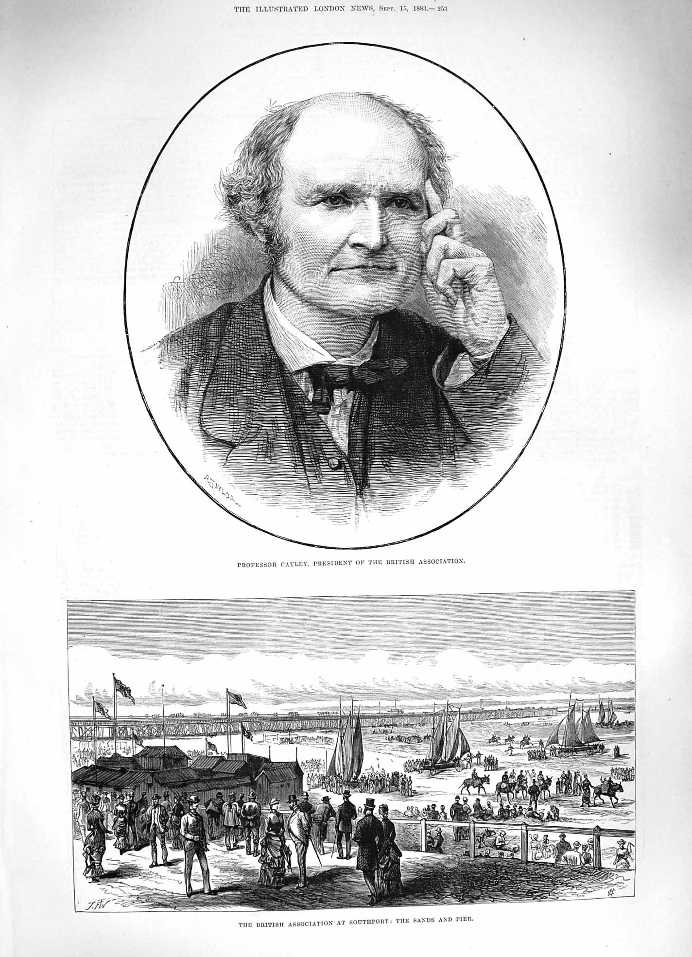 Original Old Antique Print 1883 Professor Cayley British Association Southport