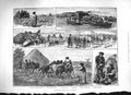 Original Old Antique Print 1883 Peasant Life Hungary Shepherd Water-Melons Oxen