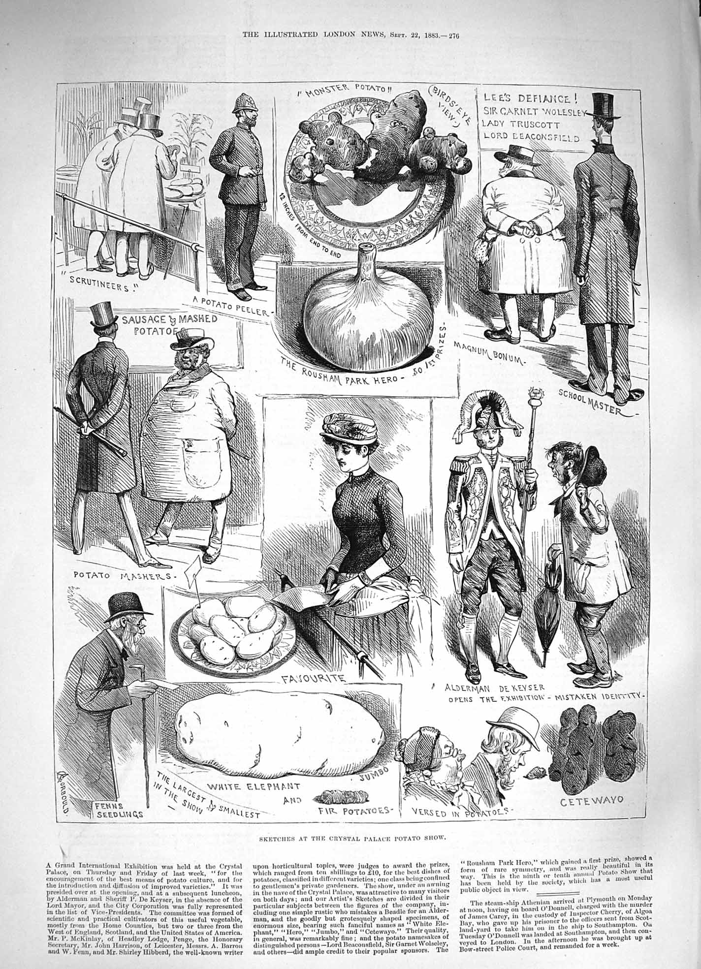 Old Antique Print 1883 Crystal Palace Potato Show Wolesley Beaconsfield 19th