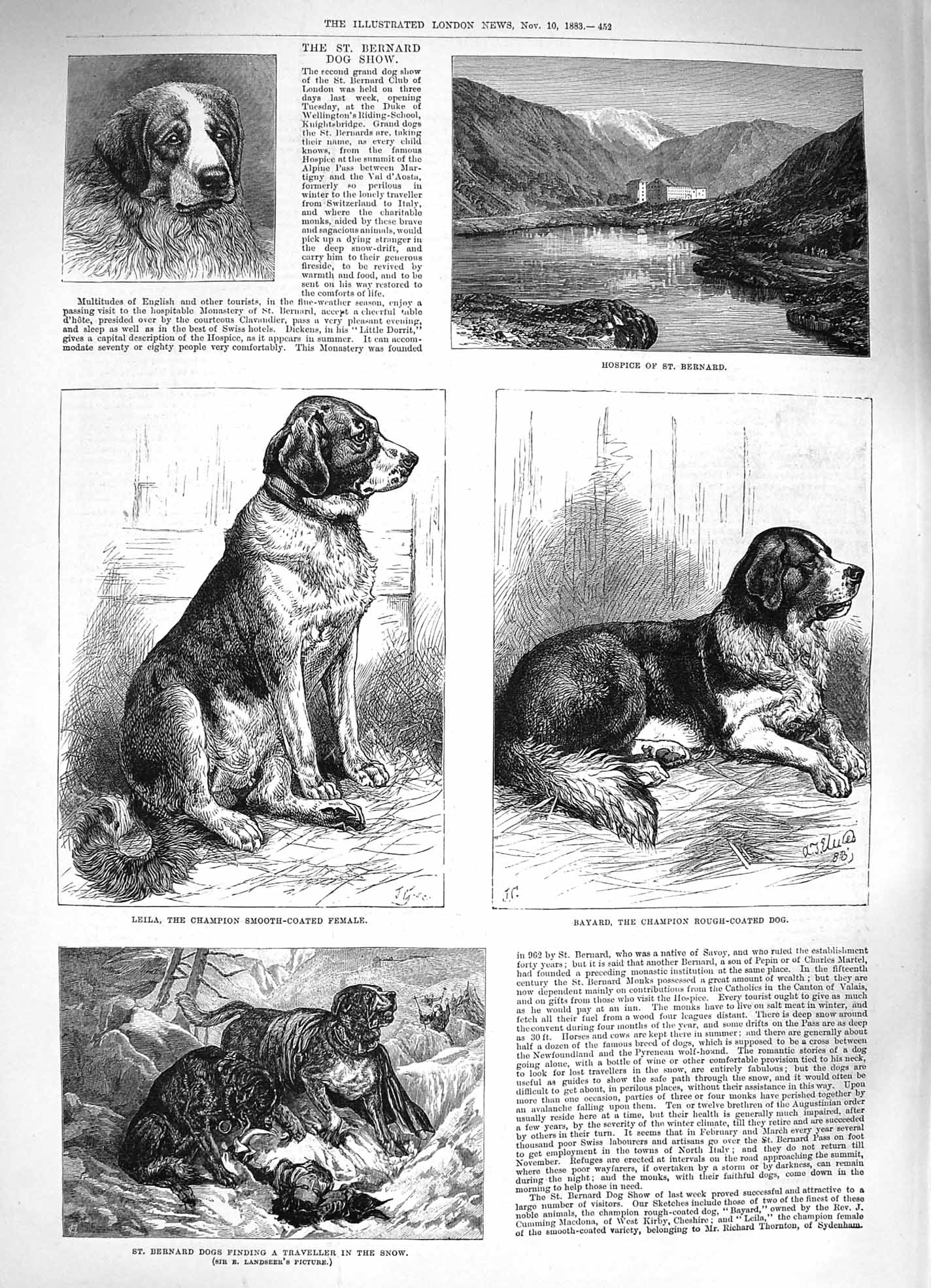 Original Old Antique Print 1883 St. Bernard Dog Show Leila Bayard Resc Victorian