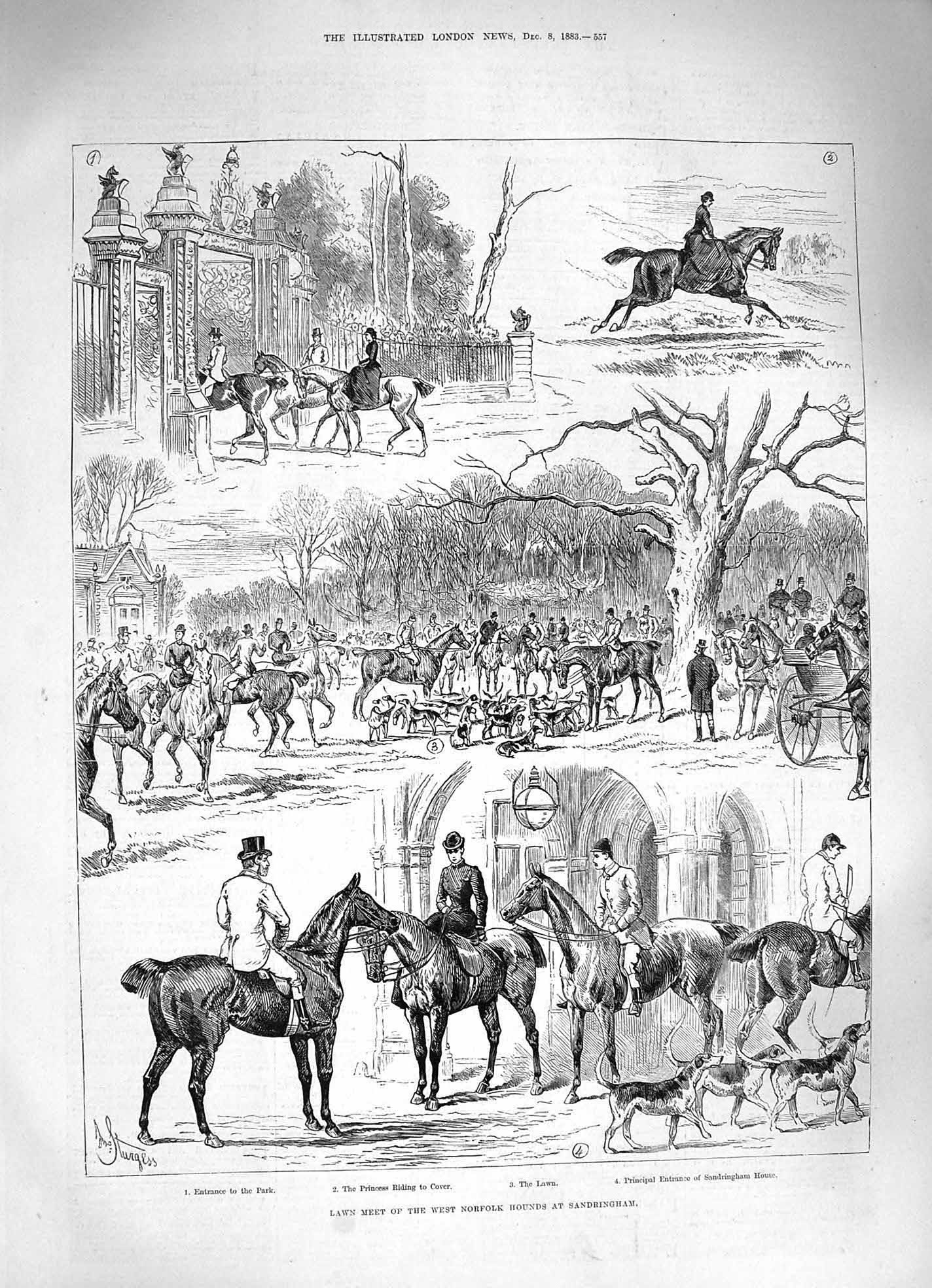 Original Old Antique Print 1883 Lawn Meet Norfolk Hounds Sandringham Victorian